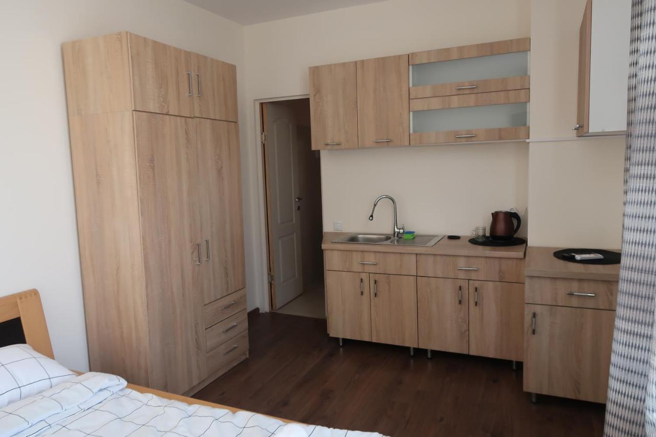 Апартаменты Downtown Studio III Тыргу-Муреш Экстерьер фото